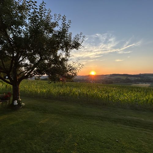 Ein Ort für goldene Stunden